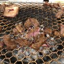 기분전환식당