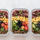 캔디게임즈(Candy Games) | 260325 "엘리트 크로스핏 선수들의 하루 식단"