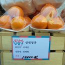 상원청과