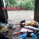 시골수정소 이미지