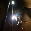 충주요트장 이미지