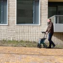 프로그타운 이미지