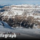 MY DOG GROOMING 이미지