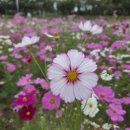 연양체육공원 이미지