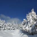 제527차 : 강원 평창 &#34;선자령(1,157.1m) 눈꽃 트레킹&#34; (2026. 01. 17.) 이미지