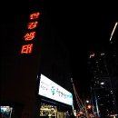 한강집생태 이미지