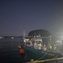 마린보이 | 삼천포 팔포항 돌문어 선상낚시 | 마린보이 채비·조과 후기 (참문어 금어기 해제 후)