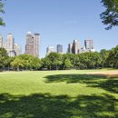 OK부동산중개사무소 이미지