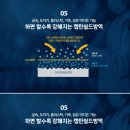캡틴방역