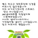 하수구 냄새완벽차단및 해충방지 이미지