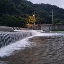 동막골민물장어 이미지