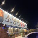 춘천 애견동반식당 소양댐 숯불 닭갈비 | 넘 편하고 맛있게 먹고왔어요