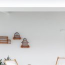 유기농라이프 이미지