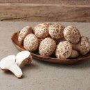 송이 아시아마트 이미지