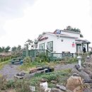 꽃향기바다소리 이미지