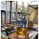 인천 송도 애견동반 식당 추천 캠핑스토리 후기