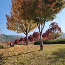 생태공원편의점 이미지