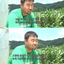 농사짓는 박가네