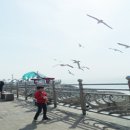 오늘에 주요 뉴스(4.29.) 이미지