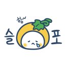 춘천안성맞춤설비 이미지
