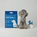 펫대디(Pet Daddy) | [펫츠다이닝]가성비좋은 강아지배변패드 추천