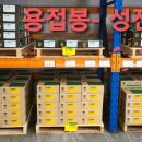 성진상사 이미지