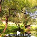 농어촌버스정류장 옆 이미지