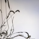 무수막길 이미지