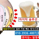 정심 이미지