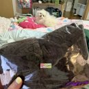 프랜즈 세탁 | 강아지바클라바모자 만들기 수면 뜨개실 프랜즈얀 후기