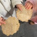 단양 어린이집 | 단양 1박 2일 가족 여행코스 총정리 (slowd여행중심)