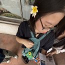 쓰리원주유소 | [26 KOICA] 청년중기봉사단 아시아(관광) 현지적응교육 일지