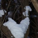 제눈에안경 이미지