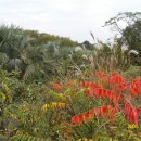 한림농장 이미지