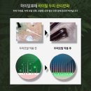 허준헤어헤드스파 이미지