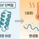 한창약국 | 약국 EGF 이지에프 새살 연고 Easyef Oint. 구매전 후기