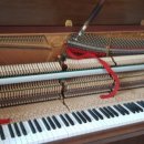 일동상회 이미지