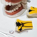 튼튼내이사랑치과의원 이미지