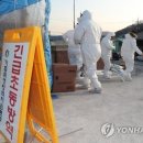 박종국 농장 이미지