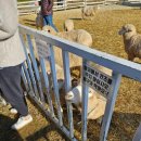 병목목장 이미지