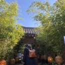 미담원 | #FALL_114 : 종로 익선동 - 한옥카페 미담원