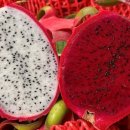 백용농장 이미지