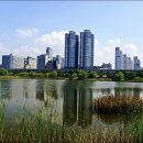 상동호수공원 Daum카페