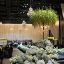 블룸호텔 | 서울에서 대전 ICC호텔 그랜드블룸 하객 당일치기 후기