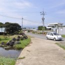 헬로남생이 | 제주 남생이못 헬로남생이 연꽃 산책 탐방 하기 후기 리뷰
