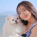 바두기펜션 이미지