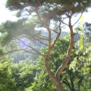 공주-08 이미지