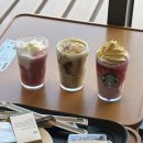 스타벅스군산조촌DT점 | 스타벅스 신상 두바이푸라푸치노 맛 가격 영양성분 칼로리 당 🍫