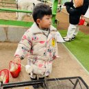 건희목장 네이버블로그