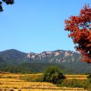 금구농장 이미지